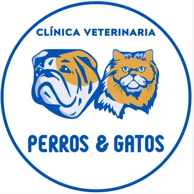 perros-y-gatos-veterinaria